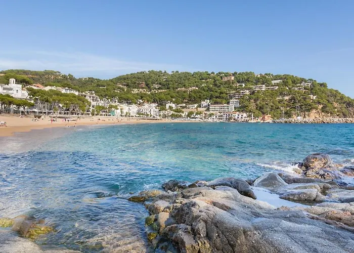 Clip B-2 - Лафранч